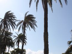 -鹅銮鼻公园