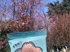 -昆明动物园