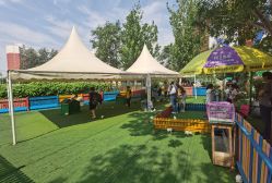 -萌宠亲子动物乐园(槐房万达店)