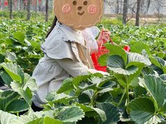-丹樱生态园