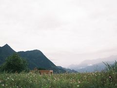 -萝卜寨羌文化生态旅游区