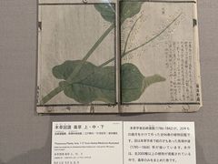 -东京国立博物馆
