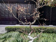 -梅园