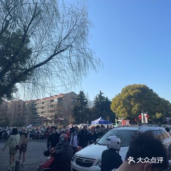 喜欢玄武湖啦，特别是这时候，因为夏天太热了
