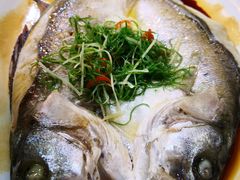 -凤厨顺德水乡凤味馆(大良锦龙路店)