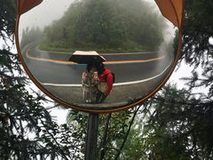 -紫鹊界梯田景区