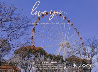 假装在日本  |  又是樱花烂漫时，赏樱何处去？