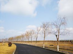-洨河生态公园