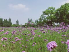 -杭州城北体育公园