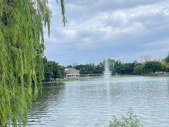 -荔湾湖公园