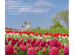 -北京国际鲜花港