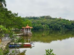 -深圳仙湖植物园