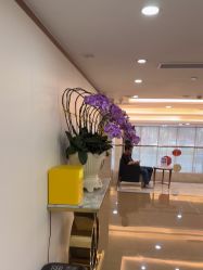 -广州曙光医学美容医院