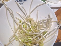 -大龙燚火锅