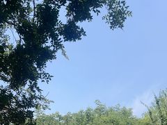 -郑州方特梦幻王国