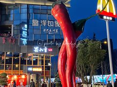 -蜀九香火锅(李家沱店)