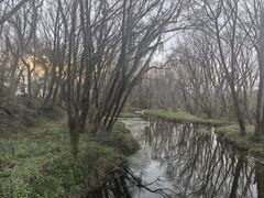 -西溪南古村落