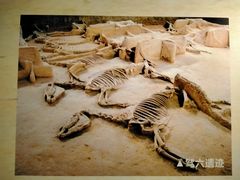 -洛阳周王城天子驾六博物馆