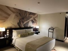 -国家会议中心大酒店