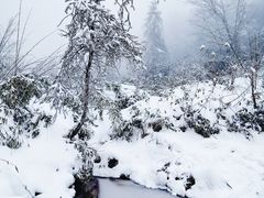 -龙苍沟森林公园