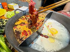 -阳阳老火锅(小南门店)
