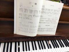 -缪斯琴行英皇小提琴.钢琴.吉他(张江店)