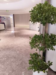 -广州美莱医疗美容医院