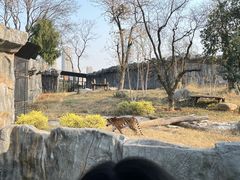 -武汉动物园