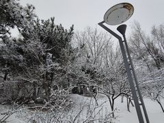 -大兴滨河森林公园