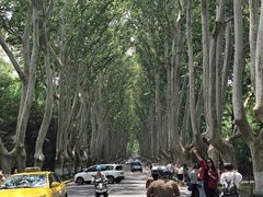 -古都历食南京菜·烤鸭·鸭血粉丝·汤包(南京博物院店)