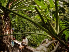 -上海辰山植物园