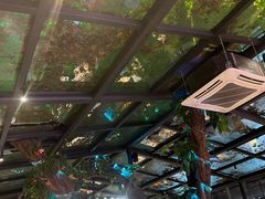 -海岛八号龙虾烧烤田鸡(蓝天路总店)