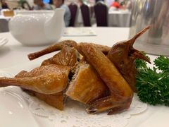 圣丰乳鸽皇-圣丰城酒家·宴会(宝安大仟里店)