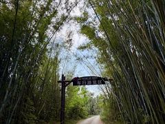 -海南热带野生动植物园
