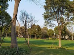 -上海吴淞炮台湾国家湿地公园