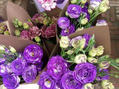 -三圣花乡旅游区