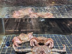 -璞御·海鲜·雪花牛肉局(宾水西道店)