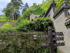 -镇江市南山风景名胜区竹林景区