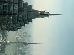 -The lounge 柏悦酒店大堂酒廊(上海环球金融中心店)