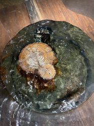 -Zoolung Zoolung动物主题公园(海信广场店)