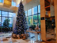 -上海龙之梦万丽酒店