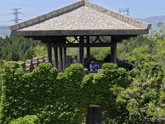 -原山国家森林公园