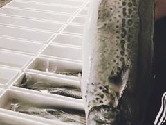 -青岛沙子口国家中心渔港