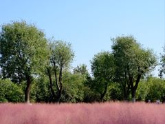 -汉长安城未央宫国家考古遗址公园