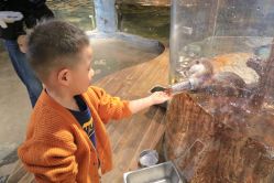 -Zoolung Zoolung动物主题公园(海信广场店)