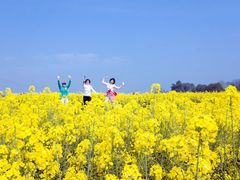 -中国天府农业博览园