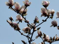 -成都市活水公园