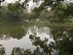 -杭州植物园