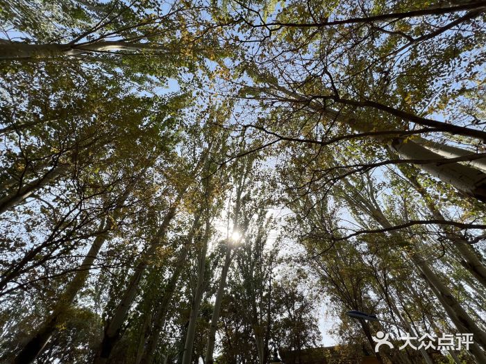 艾提尕尔清真寺图片