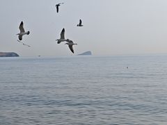 -青岛银沙滩